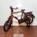خرید دوچرخه چوبی از حجره