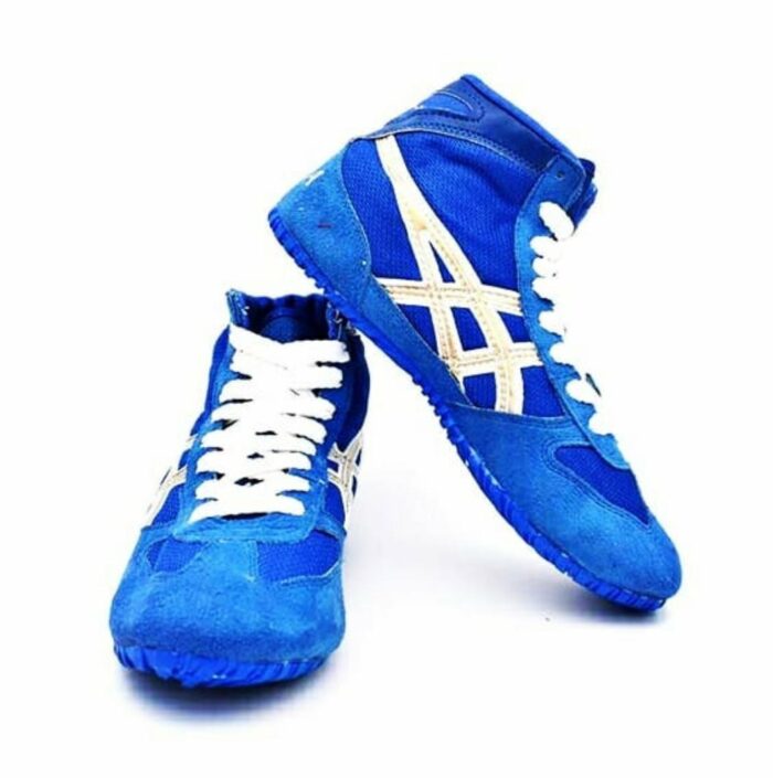 خرید و قیمت کفش کشتی اسیکس asics آبی از حجره